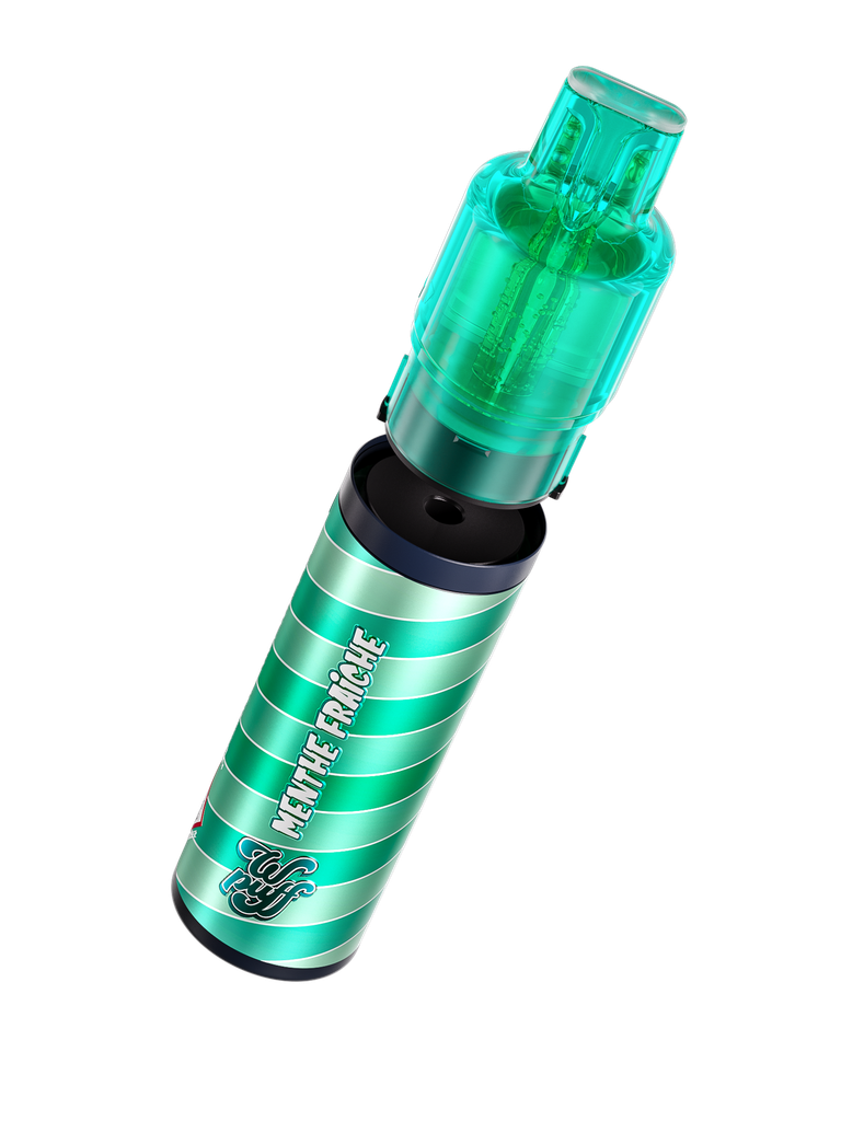 Wpuff Fusion - réservoir 2ml + flacon recharge 10ml - Menthe Fraiche x10