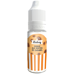 Cookie aux pépites de caramel 10ml x15